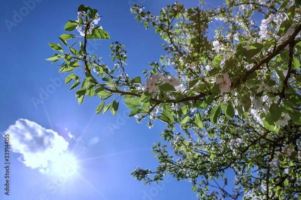 Obraz the sun comes out from behind the clouds