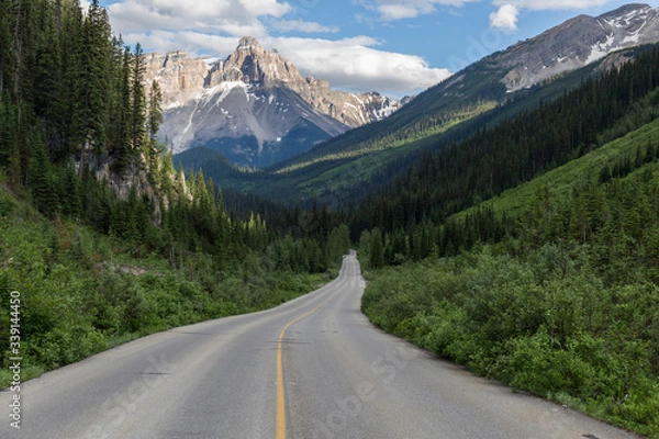 Obraz Spectacular road landscapes that run through pine forests and high mountains, Canadian roads with the yellow lines