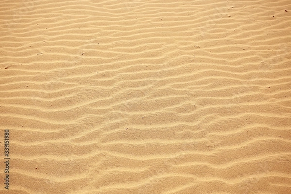 Fototapeta background sand desert / abstract empty background, texture desert sand, waves on, sand dunes