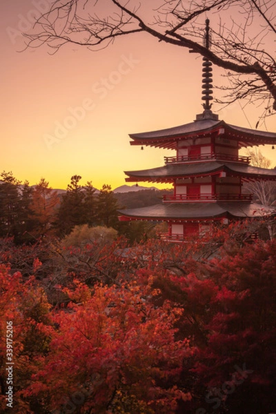 Obraz 山梨県 新倉山浅間公園 富士山 紅葉 夕景