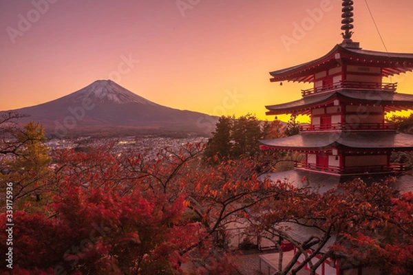 Obraz 山梨県 新倉山浅間公園 富士山 紅葉 夕景