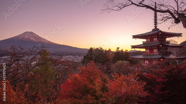 Fototapeta 山梨県 新倉山浅間公園 富士山 紅葉 夕景