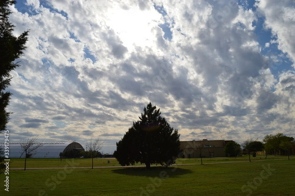 Obraz sunset in the park