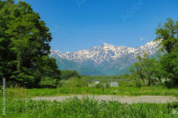 Obraz 新緑の避暑地