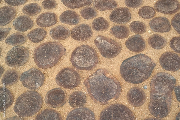 Obraz Drewniany chodnik