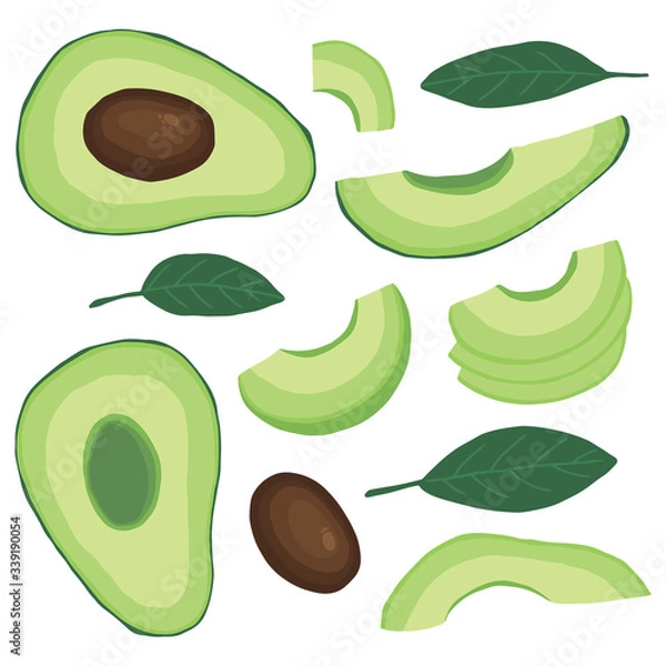 Fototapeta Avocado vector set flat illustration hand drawn