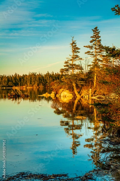Obraz Beautiful coastal ocean shoreline scenery at the Atlantic Coast of Canada.