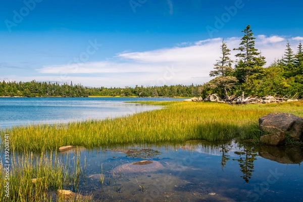 Obraz Beautiful coastal ocean shoreline scenery at the Atlantic Coast of Canada.