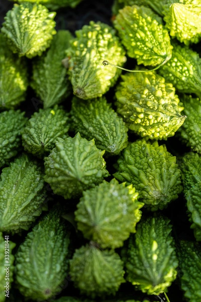 Obraz delicious green Turkish vegetable product