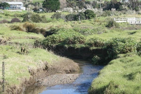 Obraz river in the forest