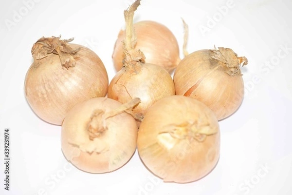 Obraz Onion.