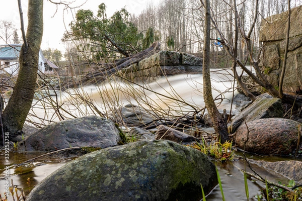 Obraz river in the forest