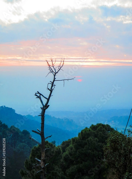 Fototapeta Tree on the top of mountain in a sunset