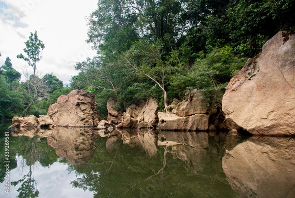 Obraz タイのジャングルと川：東南アジアの風景