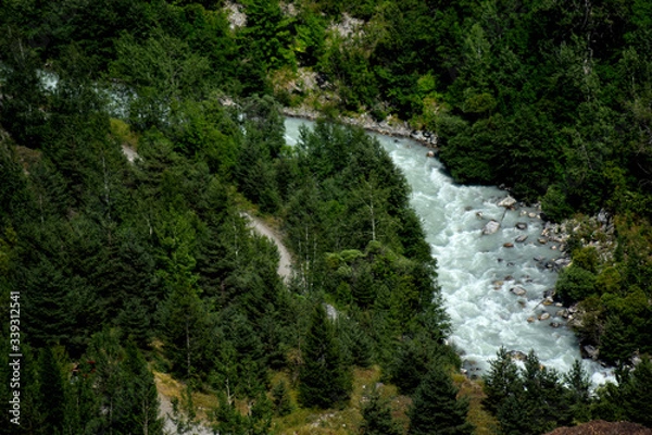 Obraz Gebirgsbach im Wald