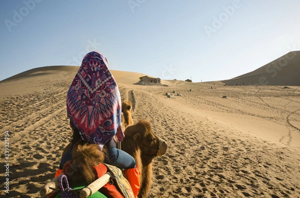 Obraz Camel Riding Back View Person