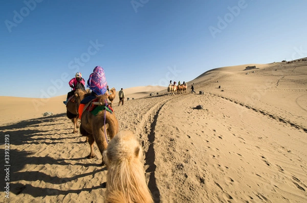 Obraz Camel Riding Guided Tour