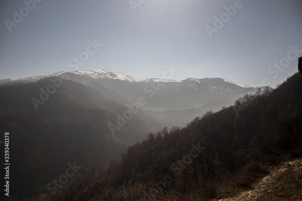 Fototapeta mountain ranges and bare forest