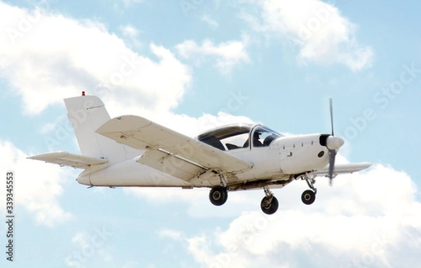 Obraz the plane is flying