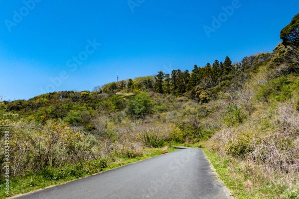 Obraz 湘南国際村 大楠山 ハイキングコース 