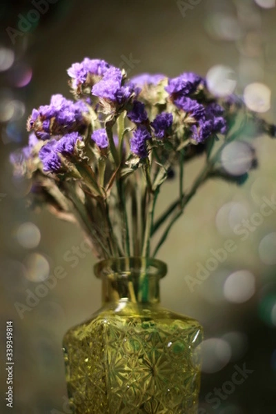 Fototapeta flowers in vase