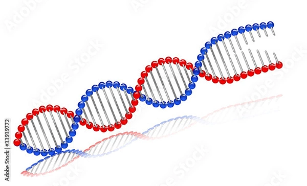 Obraz DNA_color © apernak #00002