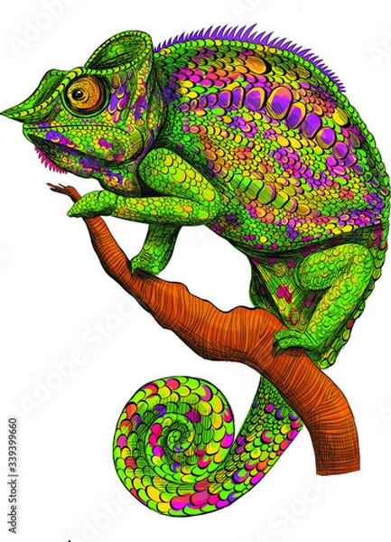 Fototapeta stylized chameleon green graphics abstraction