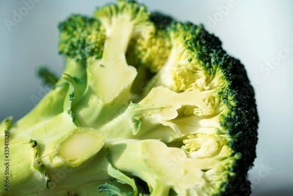 Obraz broccoli on a white background