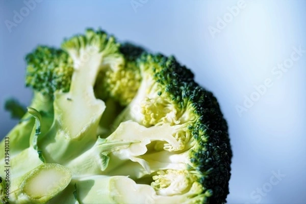 Obraz broccoli on a light blue background