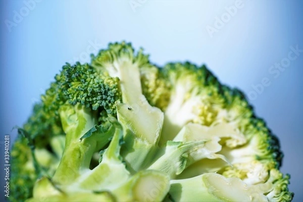 Obraz broccoli slice on a white background