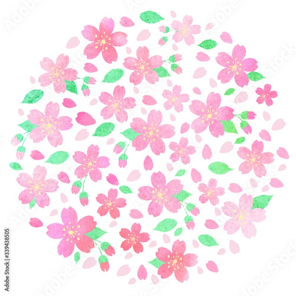 Fototapeta 水彩風　桜