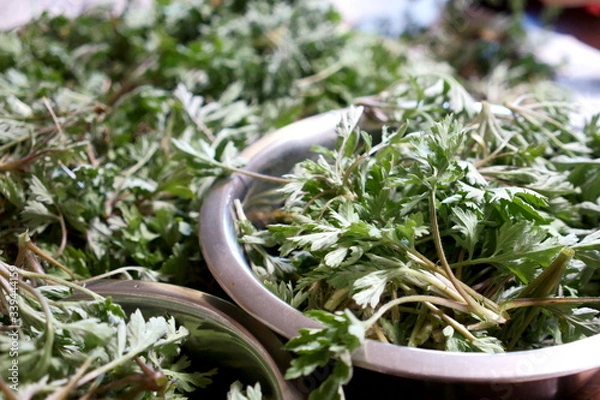 Obraz 春の野で摘んだ草餅の原料、よもぎ