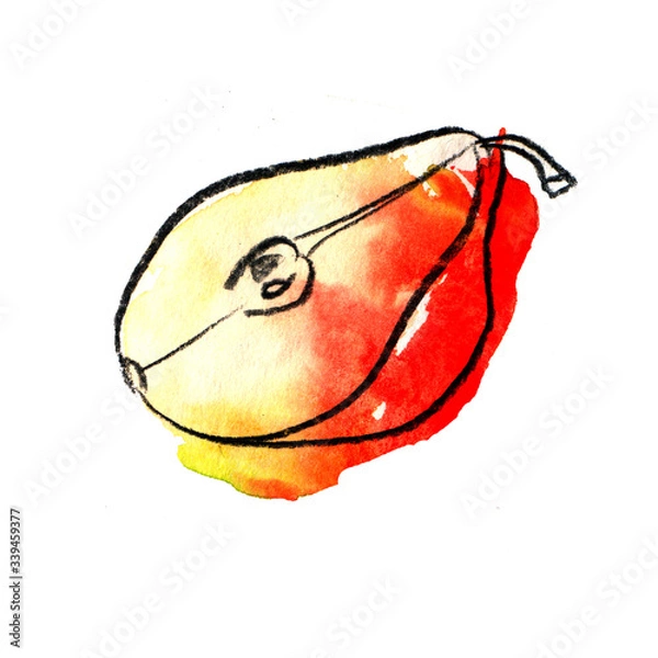 Fototapeta half green yellow red juicy bright pear watercolor