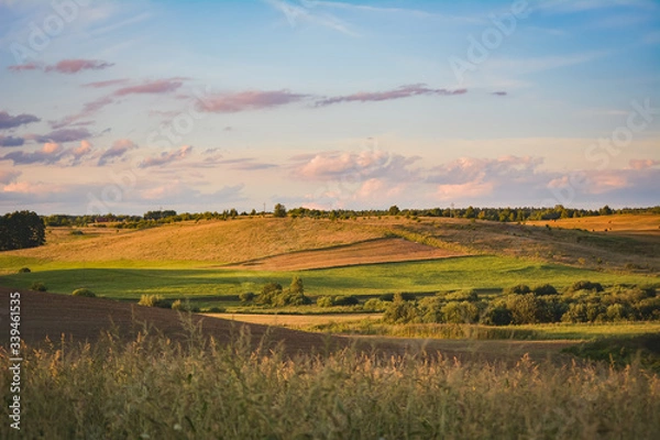 Fototapeta sunset over the field