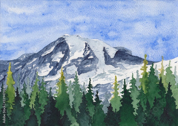 Fototapeta The Wonderland Trail is long and encircles Mount Rainier. It is a strenuous hike with lots of elevation gain and loss, through lowland forests and valleys and into high alpine and sub-alpine areas.