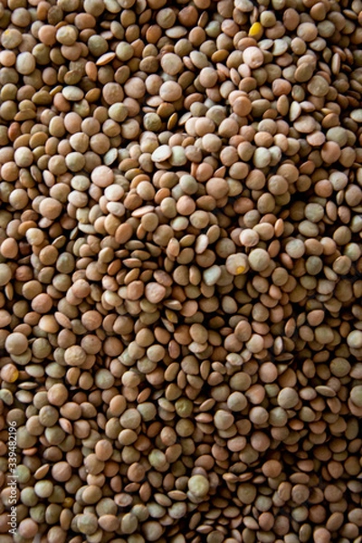 Obraz brown lentils on white surface