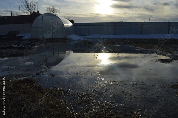 Obraz sunset in the winter