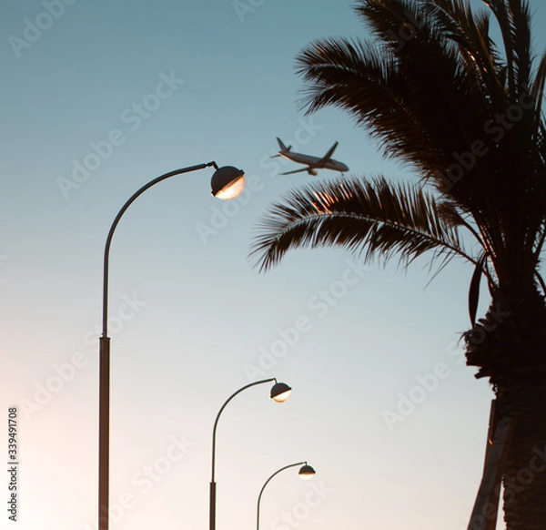Obraz palm tree silhouette