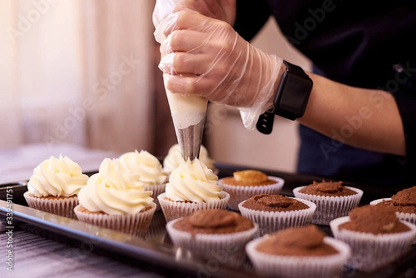 Fototapeta Chocolate cupcakes with a swirl of cream.Female hands fill cupcakes on a baking sheet.