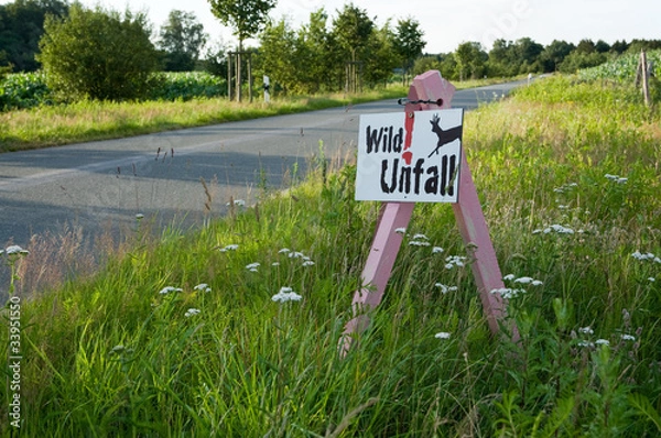 Obraz Schild Wildunfall