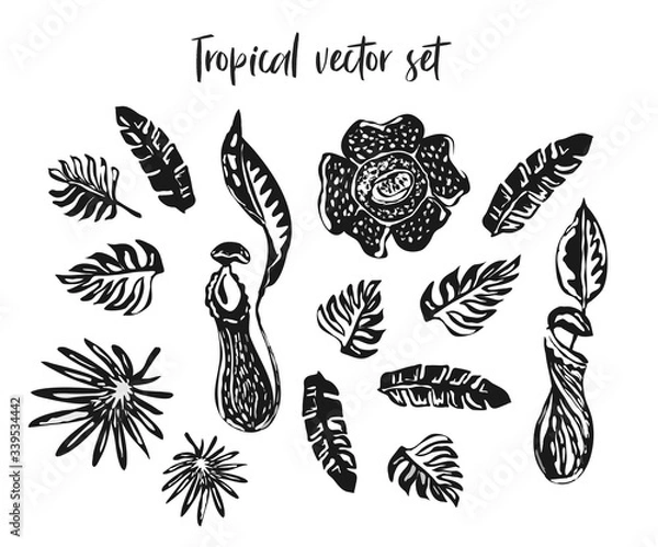 Obraz Ink drawing tropical set of floral elements