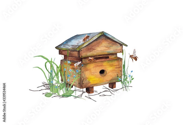 Fototapeta Illustration of colorful realistic wooden bee hive apiary in garden grass with bees. Fragment of bees' life. Watercolor hand painted isolated elements on white background.