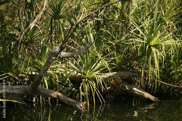 Obraz Paysage australien