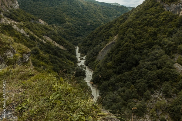 Fototapeta Green atmosphere