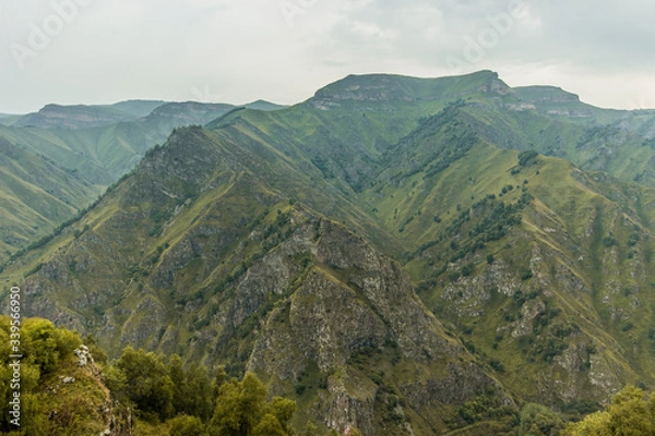 Fototapeta green nature