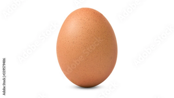 Obraz egg isolated on white background
