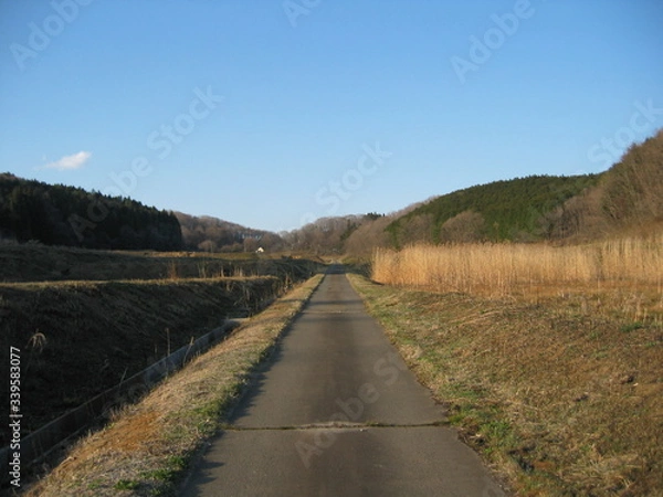 Fototapeta あぜ道