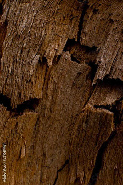 Obraz beautiful wooden texture with cracks