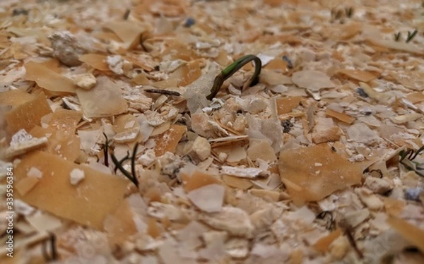 Obraz осколки