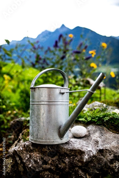 Obraz watering can standing on a rock with spring flowers